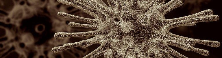 Handreiking Coronavirus: hoe veilig en gezond om te gaan met COVID-19 op de werkvloer